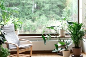 Biophilic Design: Unleash the power of nature within your space